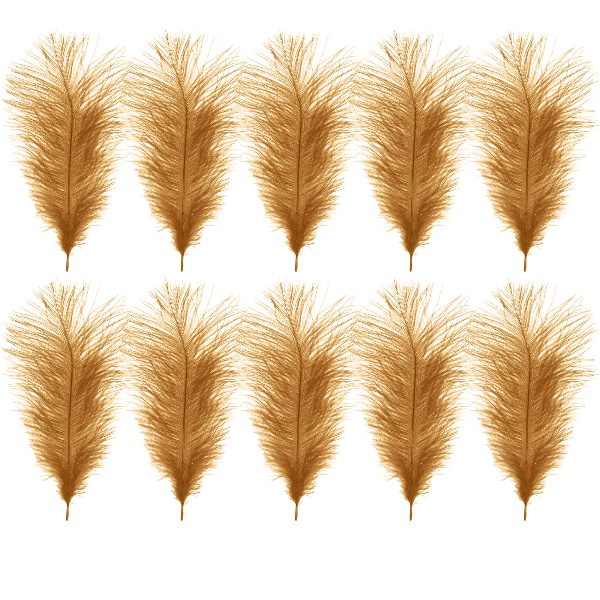 WedDecor Gold Natural Ostrich Feathers 14-16" (35-40cm) Long for Wedding Centerpieces, Home, Decorating Costumes, Embellishment, Art & Craft, Parties (Pack of 10)