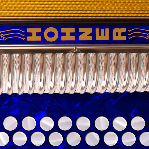 Hohner D/G Button Accordion