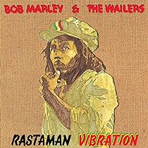 Bob Marley & The Wailers - Natty Dread[180g LP] - Amazon.com Music