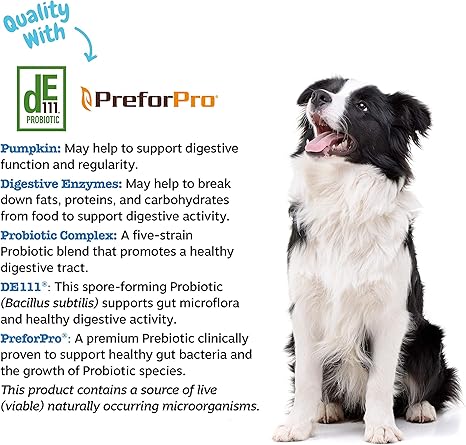 zesty paws probiotic