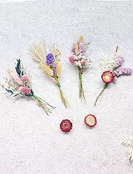 DIY Dried Flower Set, Bulk Dried Flowers,Handmade