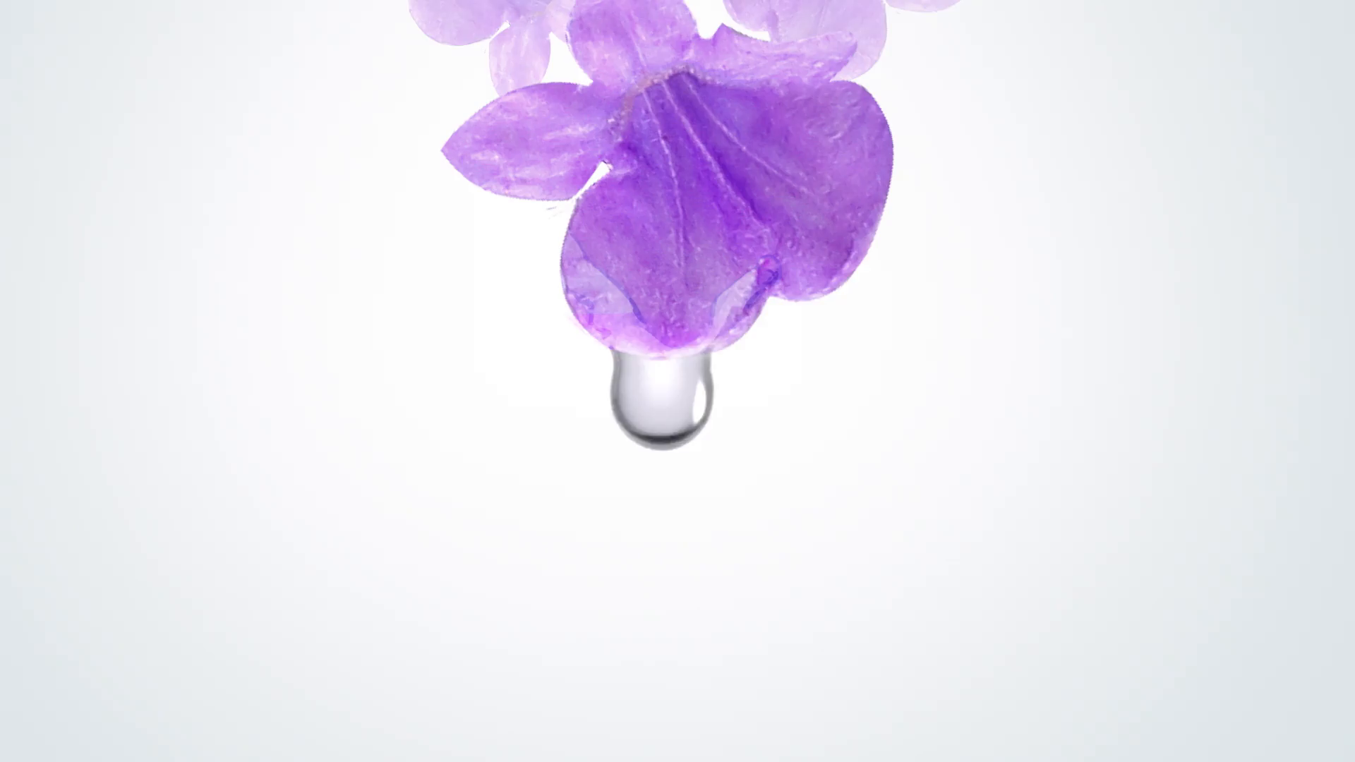 Garden Of Life Essential Oils Garden Of Life Essential Oils