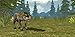 Wild Wolf Simulator 3D