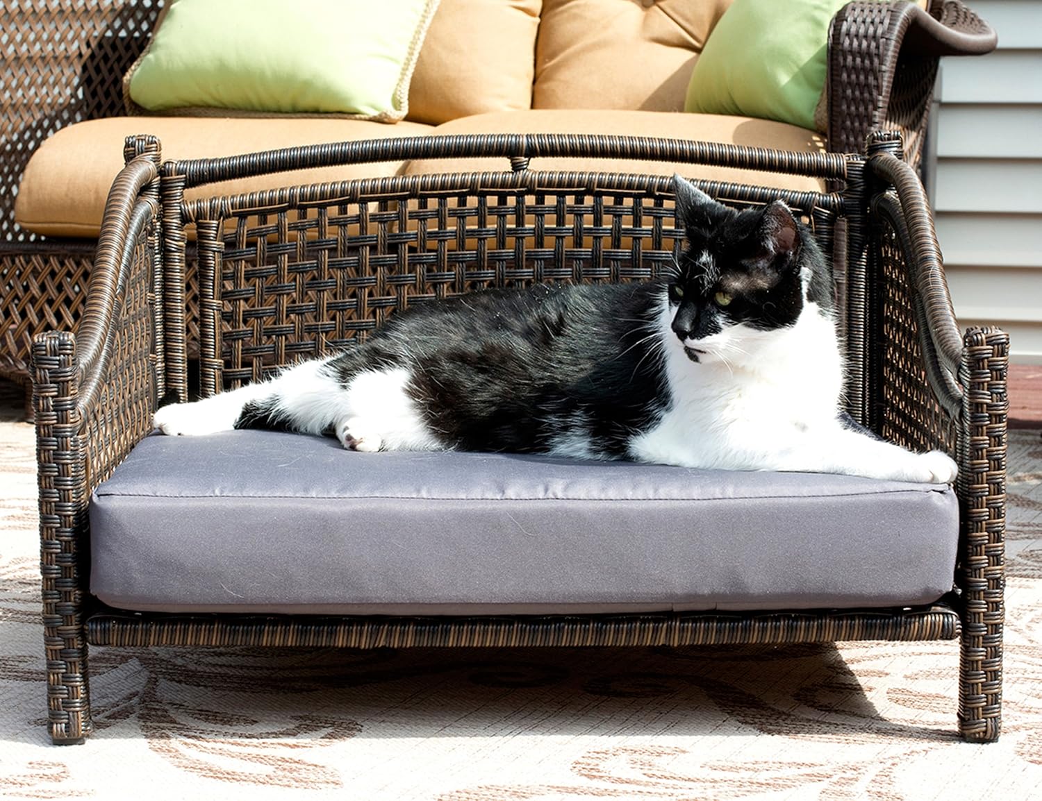 Maharaja Rattan Pet Day Bed, Indoor/Outdoor : Pet Supplies