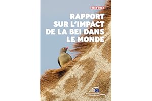 Rapport sur l'impact de la BEI dans le monde en 2023-2024 (French Edition)