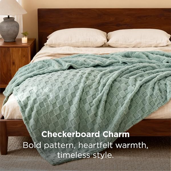 BEDSURE GENTLESOFT BLANKETS QUEEN SIZE FOR BED – SUPER SOFT COZY BLANKET, LARGE FUZZY FLEECE SPRING SUMMER THROW FOR BEDROOM DECOR FOR GIRLS, SAGE GREEN, 90X90 INCHES