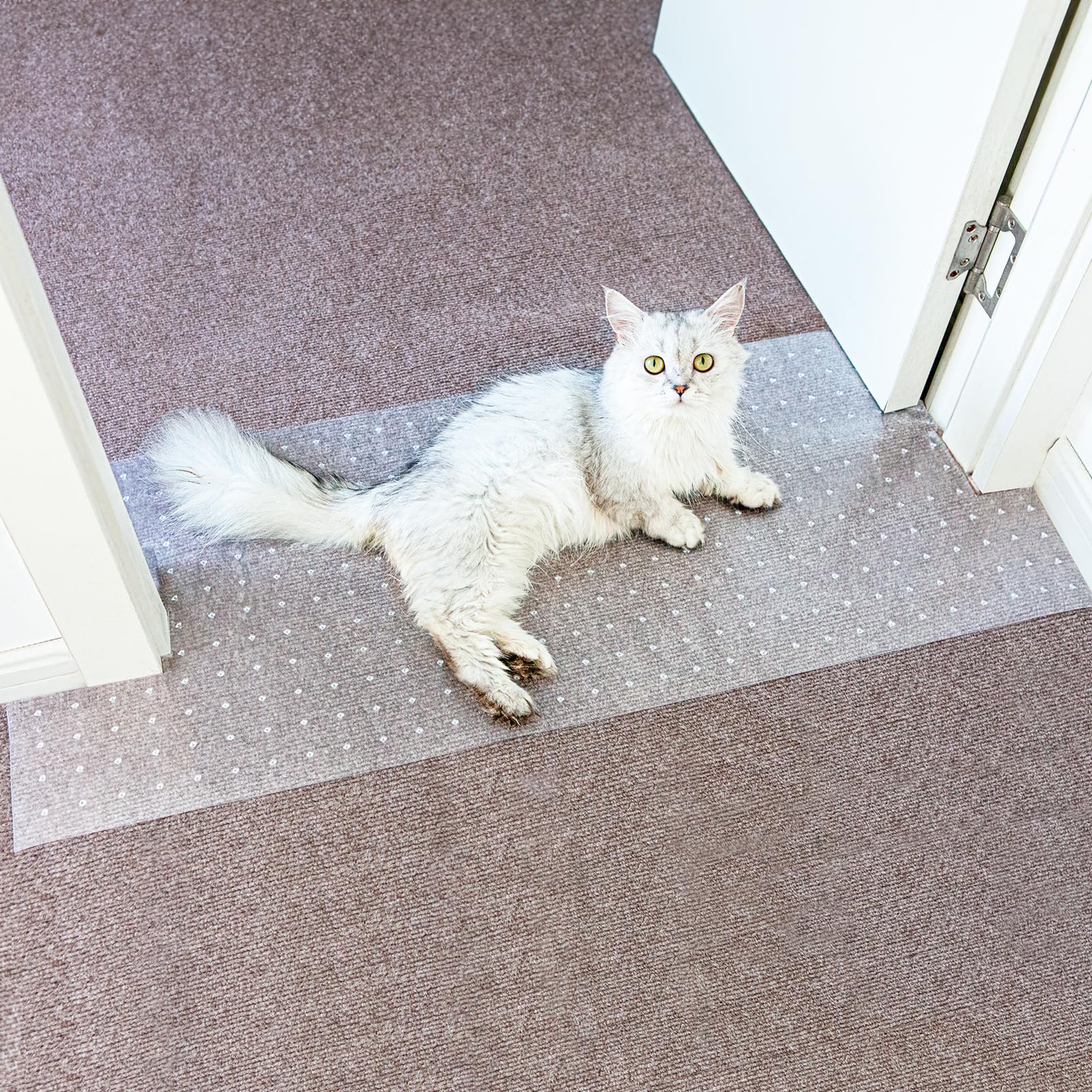Photo 1 of Carpet Protector for Pets Cat Carpet Protector for Doorway, Anti Scratch Under Door Cat Scratch Protector Mat, Easy to Cut Plastic Stopper (Clear, 3.6FT-1pack)