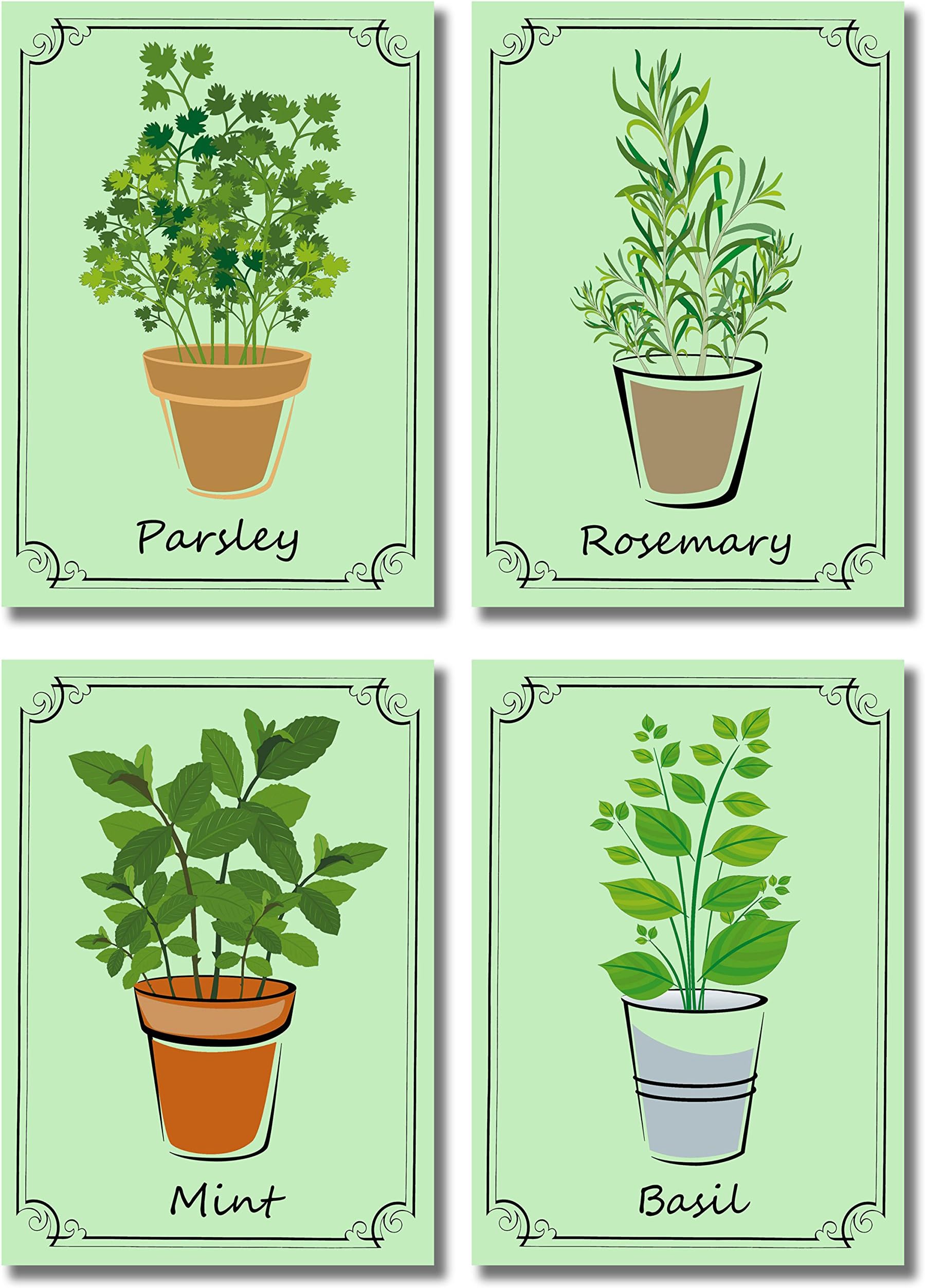 BigWig Photos Herb Pots Wall Art Prints - Decorative Kitchen Decor (5 inches x 7 inches, Green)