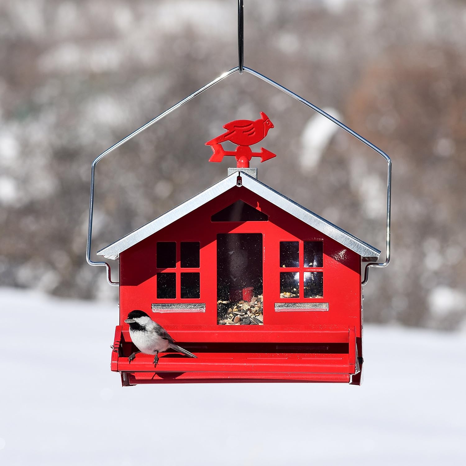Perky-Pet 338 Squirrel-Be-Gone II Country House Bird Feeder with Weathervane, 8 Lb, Red : Squirrel Proof Bird Feeder : Garden & Outdoor