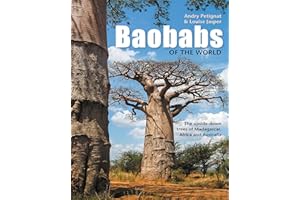 Baobabs of the World: The upside-down trees of Madagascar, Africa and Australia
