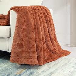TOONOW Faux Fur Luxury Throw Blanket,Double Side