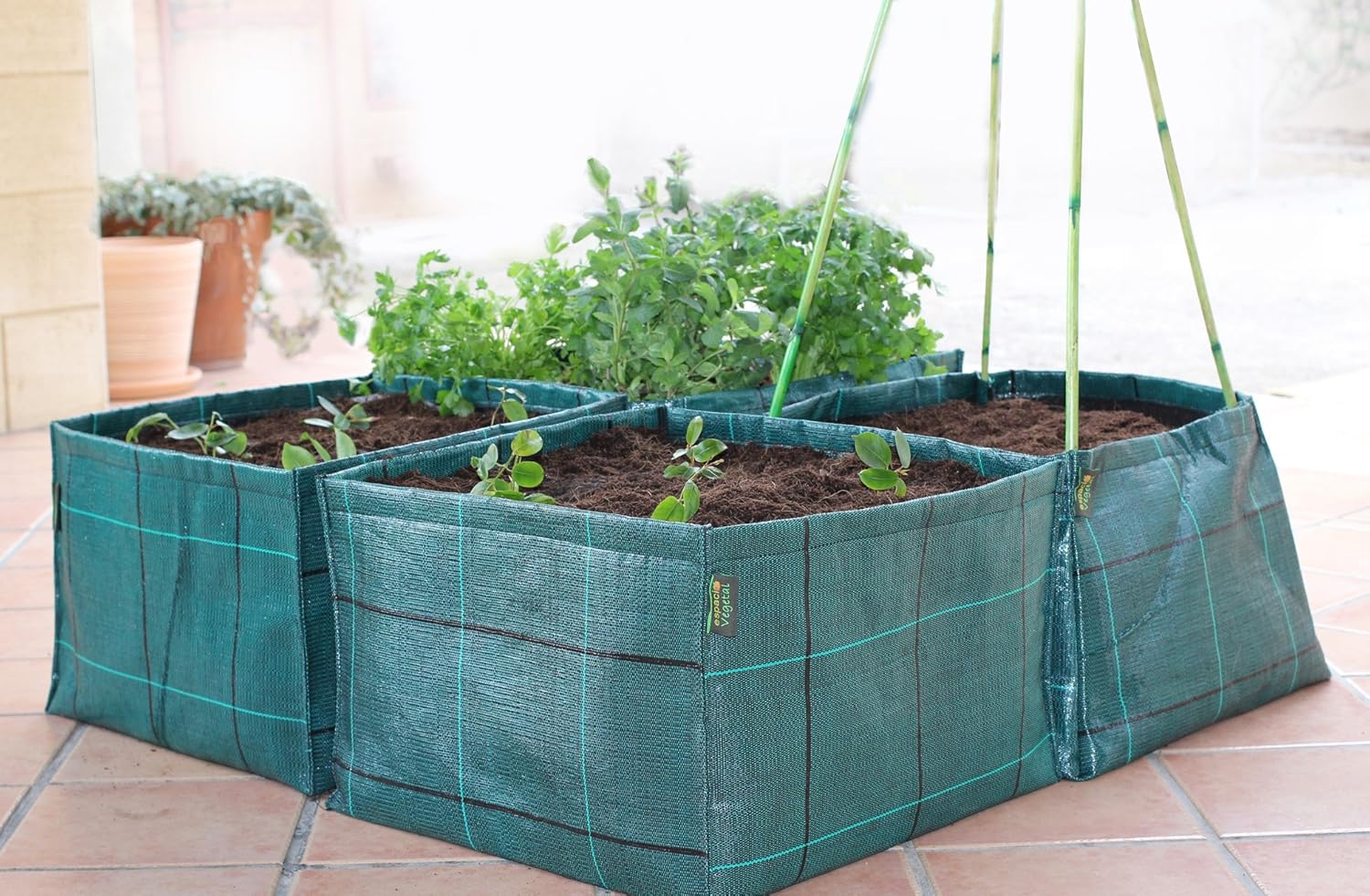 Minihuerto hortalizas V454530: Amazon.es: Jardín