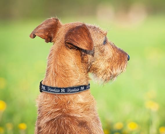 new york yankees dog harness