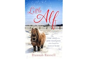 Little Alf: The true story of a pint-sized pony who found his forever home