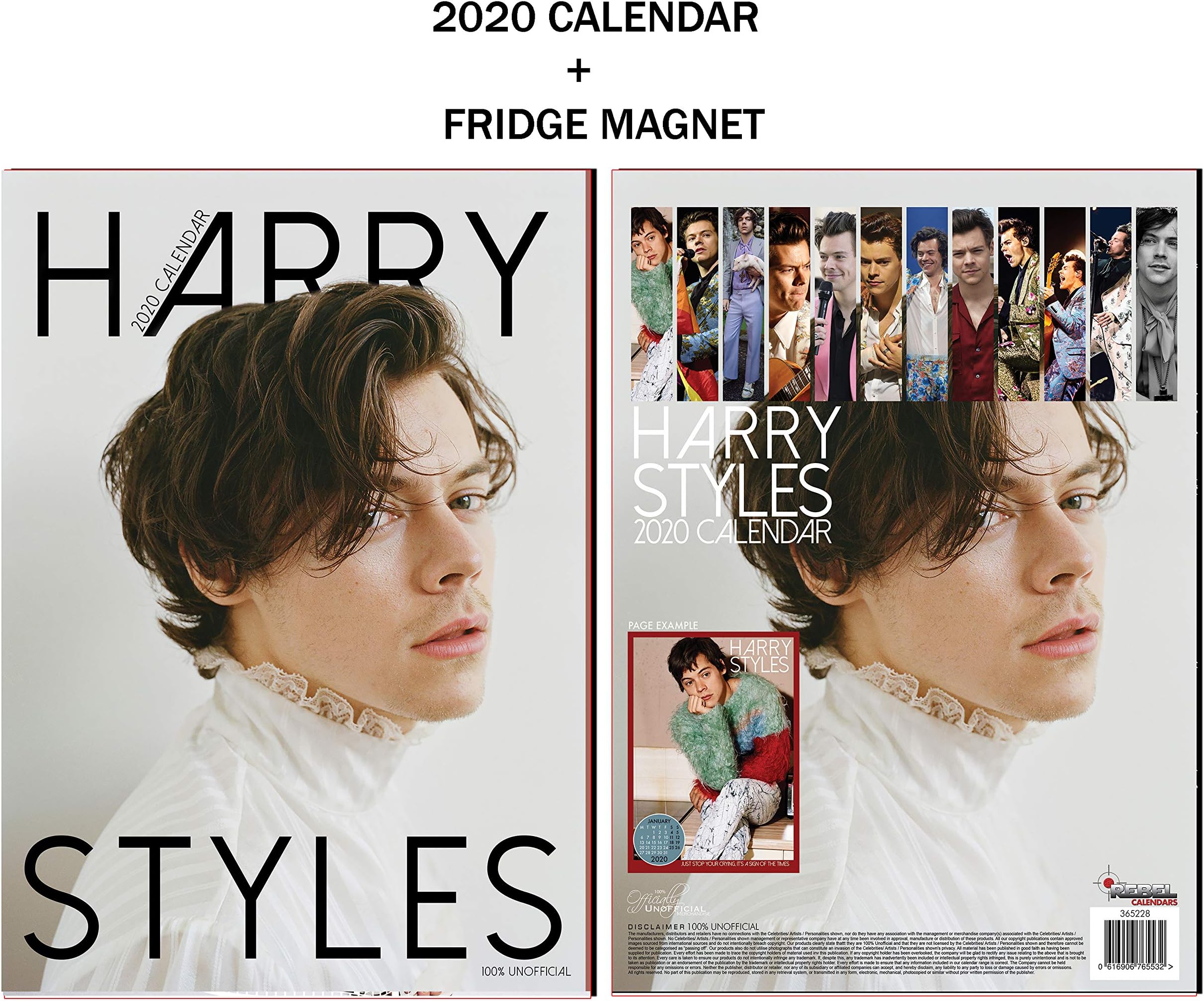 Harry Styles A3 Calendar 2020 + Metal Machine Fridge Magnet