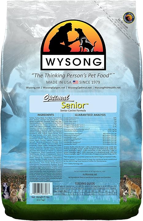 baby chihuahua black