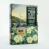 Druid Plant Oracle: Working with the Magical Flora of the Druid Tradition