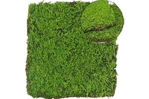 FAICOIA 2 Pcs Preserved Sheet Moss for Potted Plants 2 sq.ft. Dried Natural Preserved Moss Mat Green Moss Sheets for Planters Crafts Woodland Decor Garden Party Wall Art DIY Project Light Green