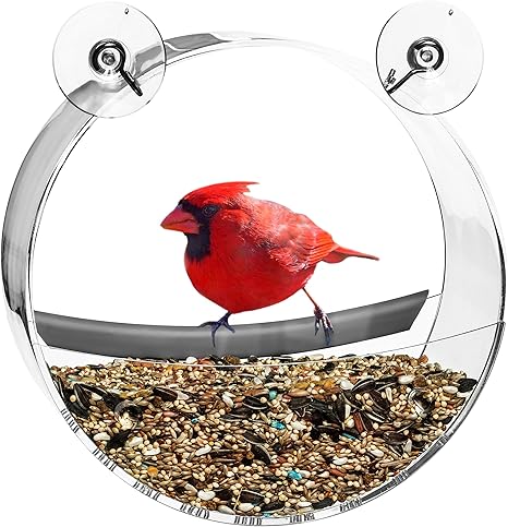Amazon Com Contempo Creatures Window Bird Feeder For Wild Birds