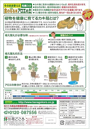 Amazon 花ごころ 金のなる木アロエの土 5l Diy 工具 ガーデン