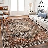chamler 6x9 Washable Area Rug Boho Medallion Distressed Design Non-Shedding Easy Care Ideal for High Traffic Areas in Rugs for Living Room Bedroom Office Kitchen Large Carpet