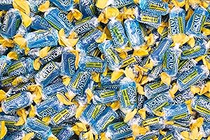Blue Raspberry Jolly Ranchers Hard Candy Bulk - All Blue Jolly Ranchers Only - by Queen City Candy Cave (1 Pound)