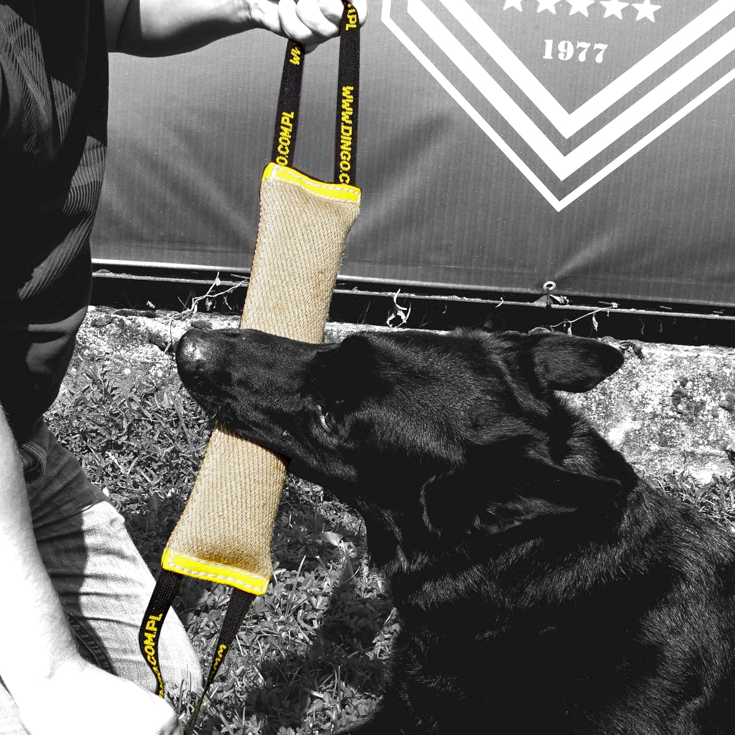 Dingo Jute Bite Tug with Two Handles, for Dog Fun and Bite Training, 40