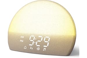 ERZERT Sunrise Alarm Clock & White Noise Machine for Adults and Kids 30 Soothing Sounds and 15-180 Mins Sleep Timer, Includes