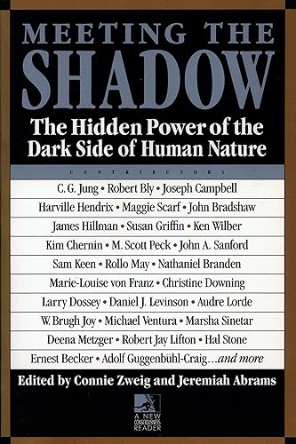 Download Meeting the Shadow. PDF