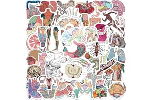 FXBUY 50Pcs Human Anatomy Stickers Decal, Waterproof Vinyl Skeleton Stickers Pack Brain Stickers, Physiology Stickers, Anatomy and Physiology Gifts for Teachers, Heart Anatomy Stickers (Human Anatomy)