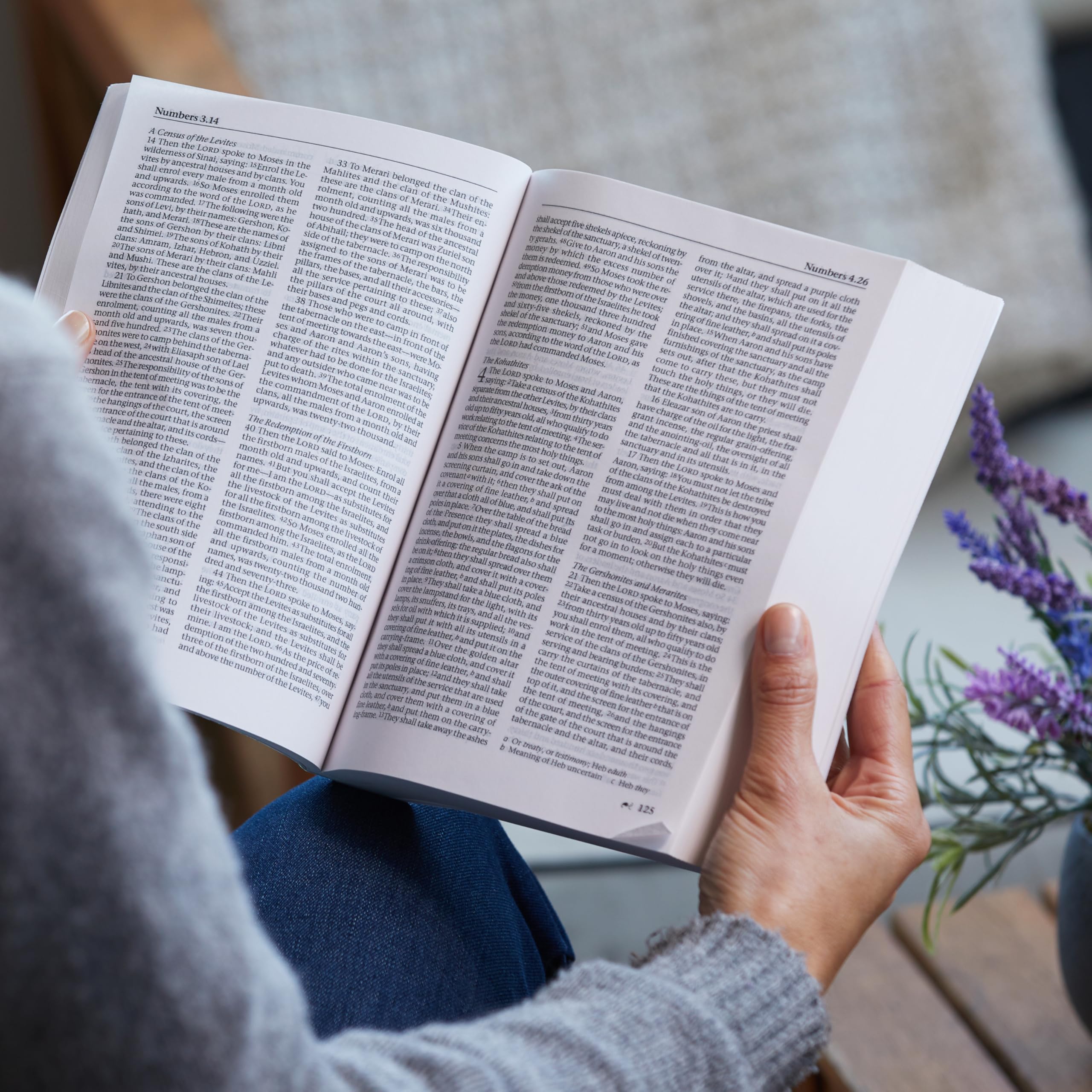 NRSV, Catholic Edition Bible, Hardcover, Hillside Scenic: Holy Bible NRSV, Catholic Edition Bible, Hardcover, Hillside Scenic: Holy Bible Hardcover Paperback