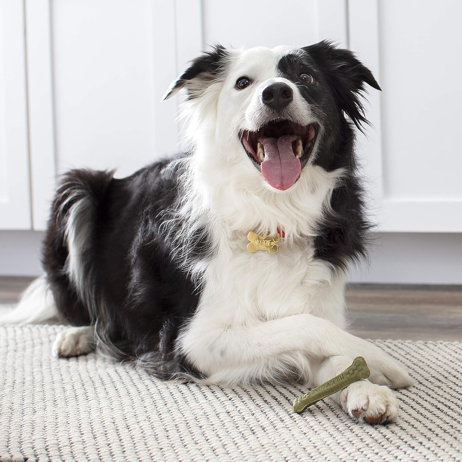 milk bone fresh breath