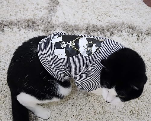 shirts for cats amazon