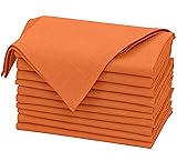 Ruvanti Linen Napkins Set of 12, 18x18 Cloth