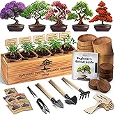 Bonsai Tree Kit for Beginners – 5X Unique Japanese Bonzai Trees | Complete Indoor Bonsai Starter Kit for Growing Bonsai Plant