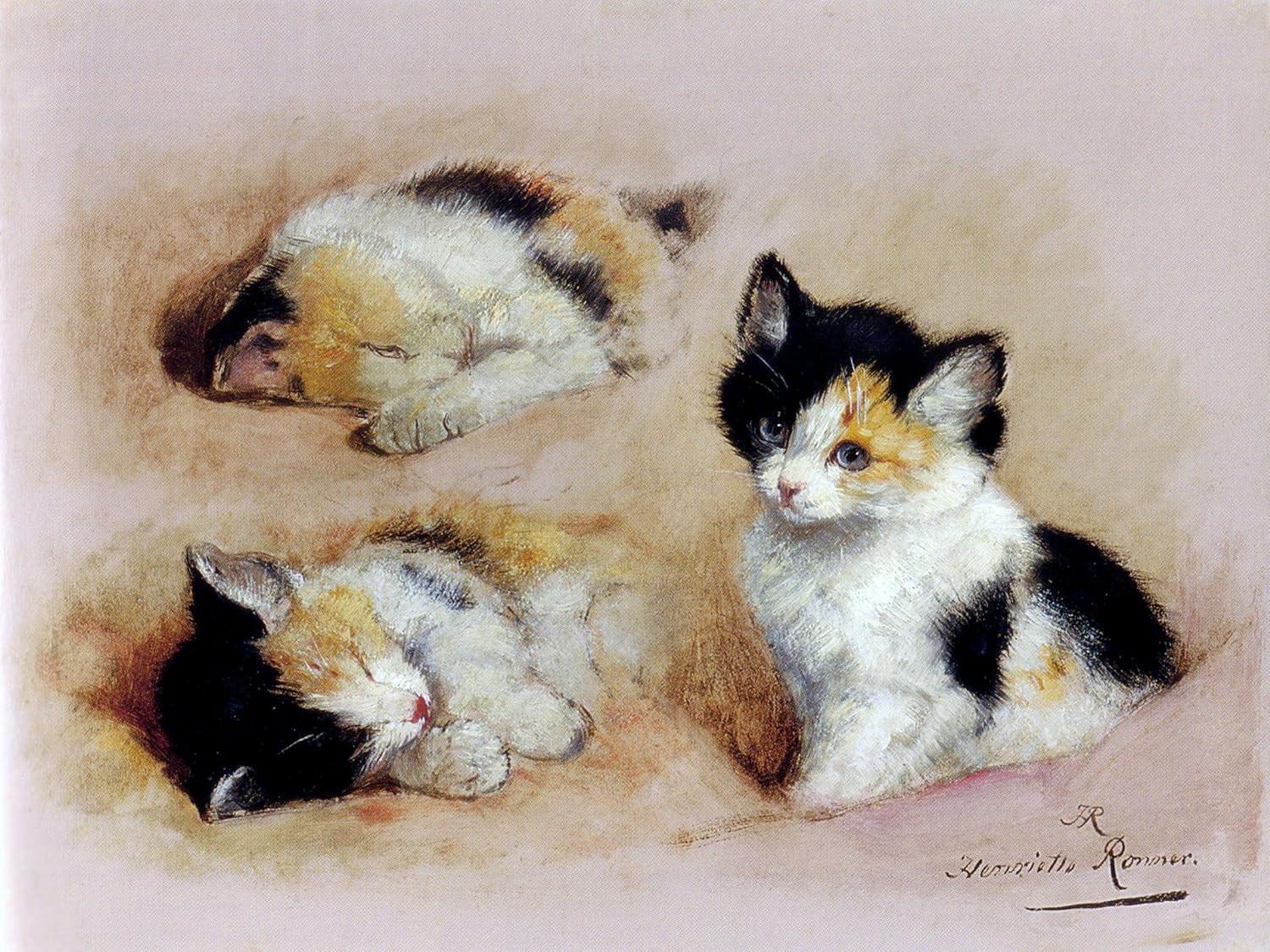 Waking Kitten H. Ronner-Knip cat pet Tile Mural Wall Backsplash Marble Ceramic