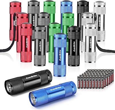 EverBrite 18-Pack LED Mini Pocket Torch with Batteries Included