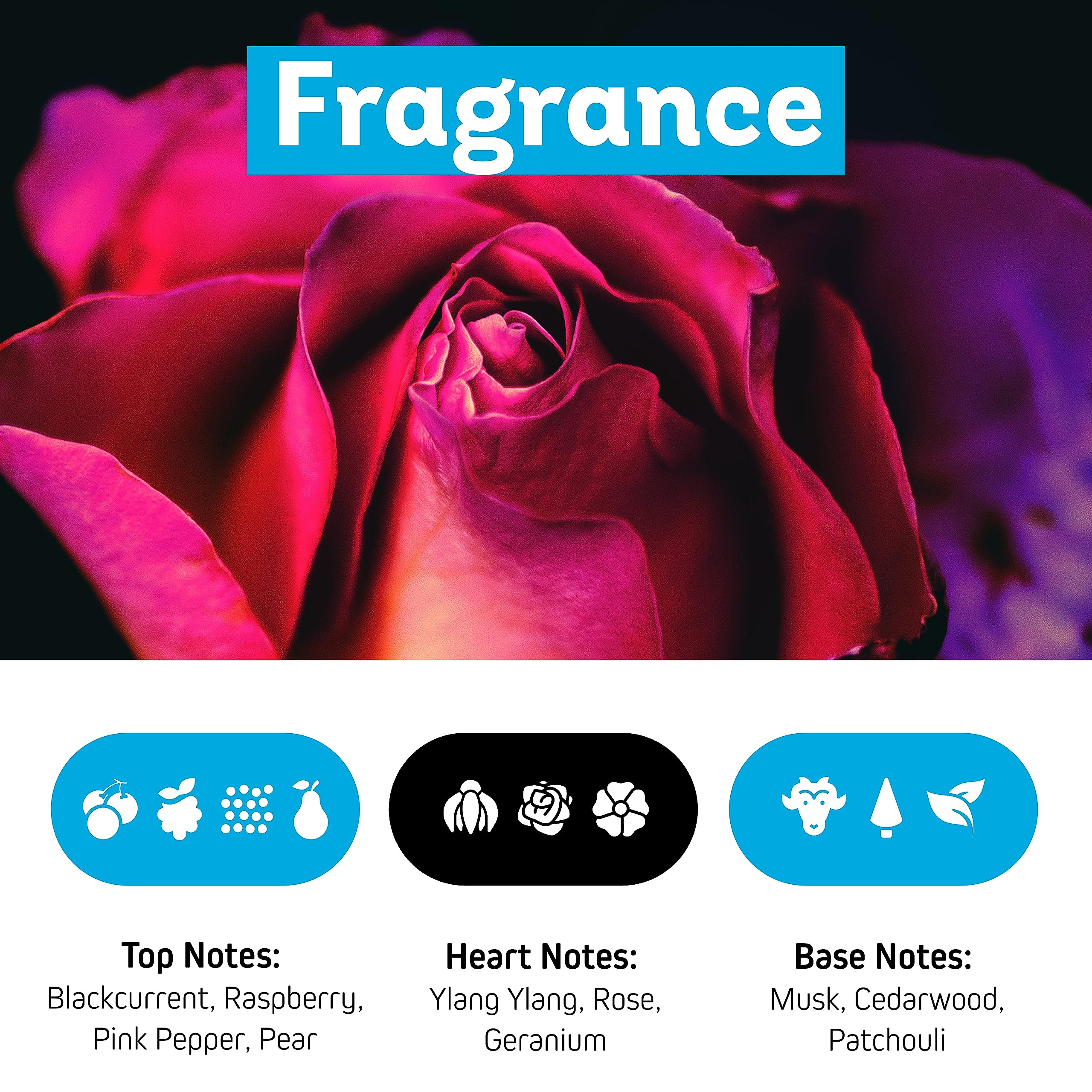 ZUMBA Shower Gel - 8.5 Fl Oz - Gentle Shower Gel Body Wash for Women & Men - Cleansing & Moisturizing Body Wash for dry skin - Ideal Shower Gel Body Wash w/ Aloe Vera Extract & Bamboo Extract