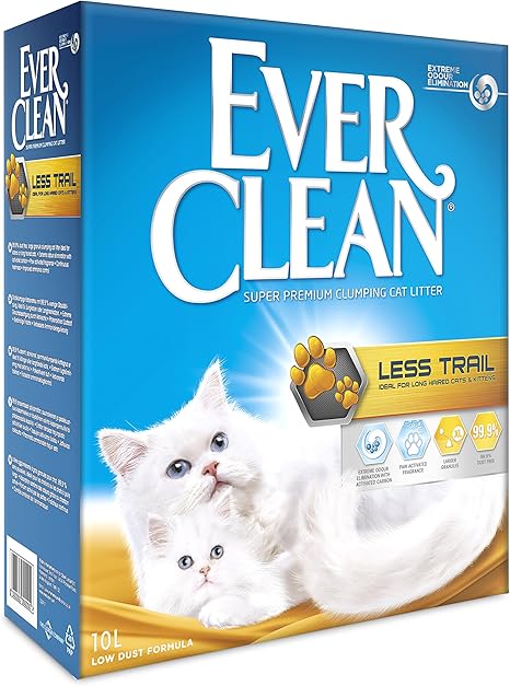 best dog collar light