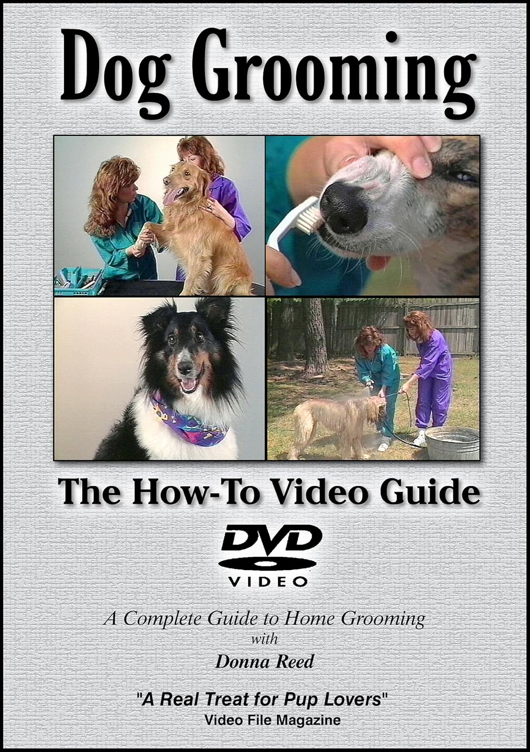 dog grooming guide