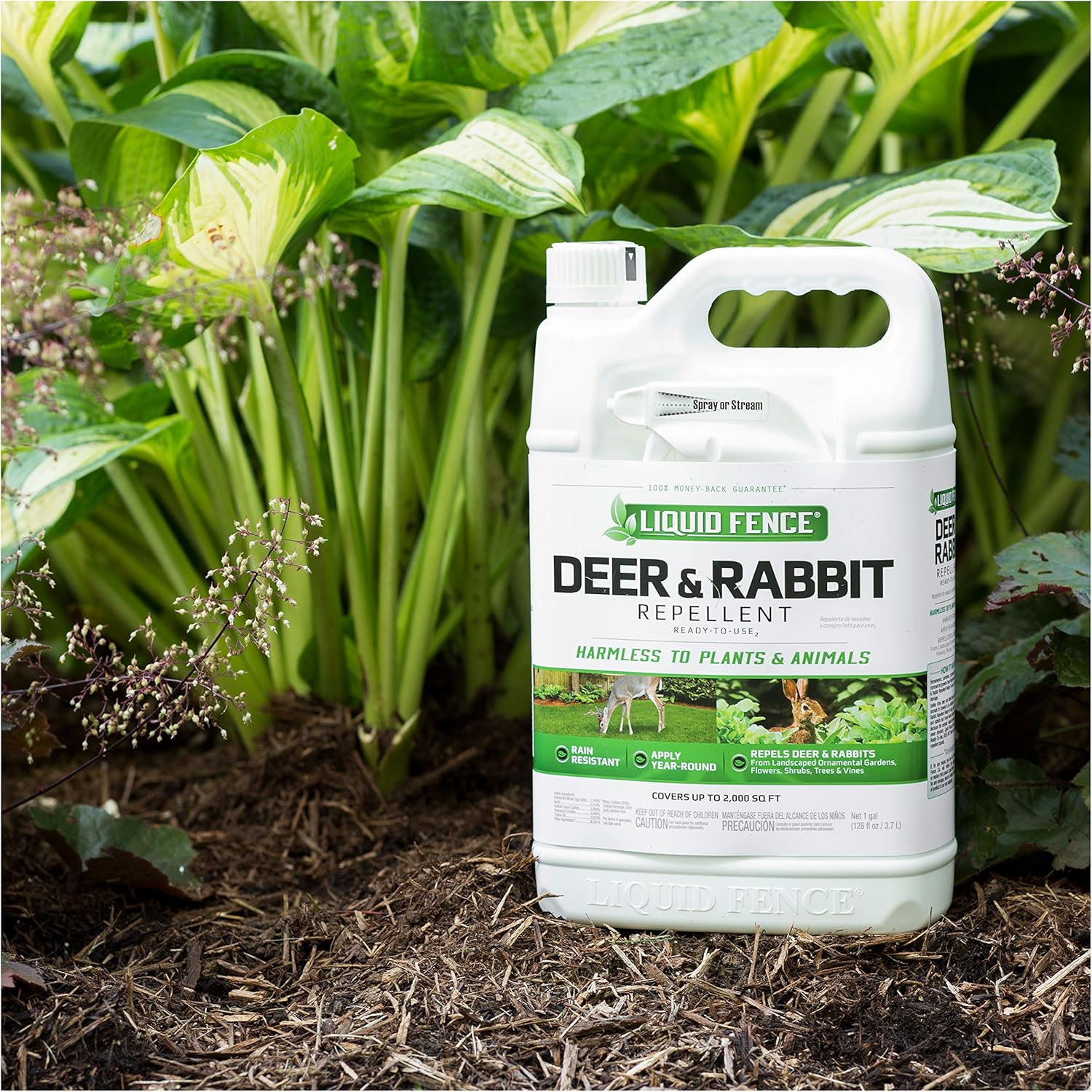 Liquid Fence Deer & Rabbit Repellent Ready-to-Use, 1-Gallon : Garden & Outdoor