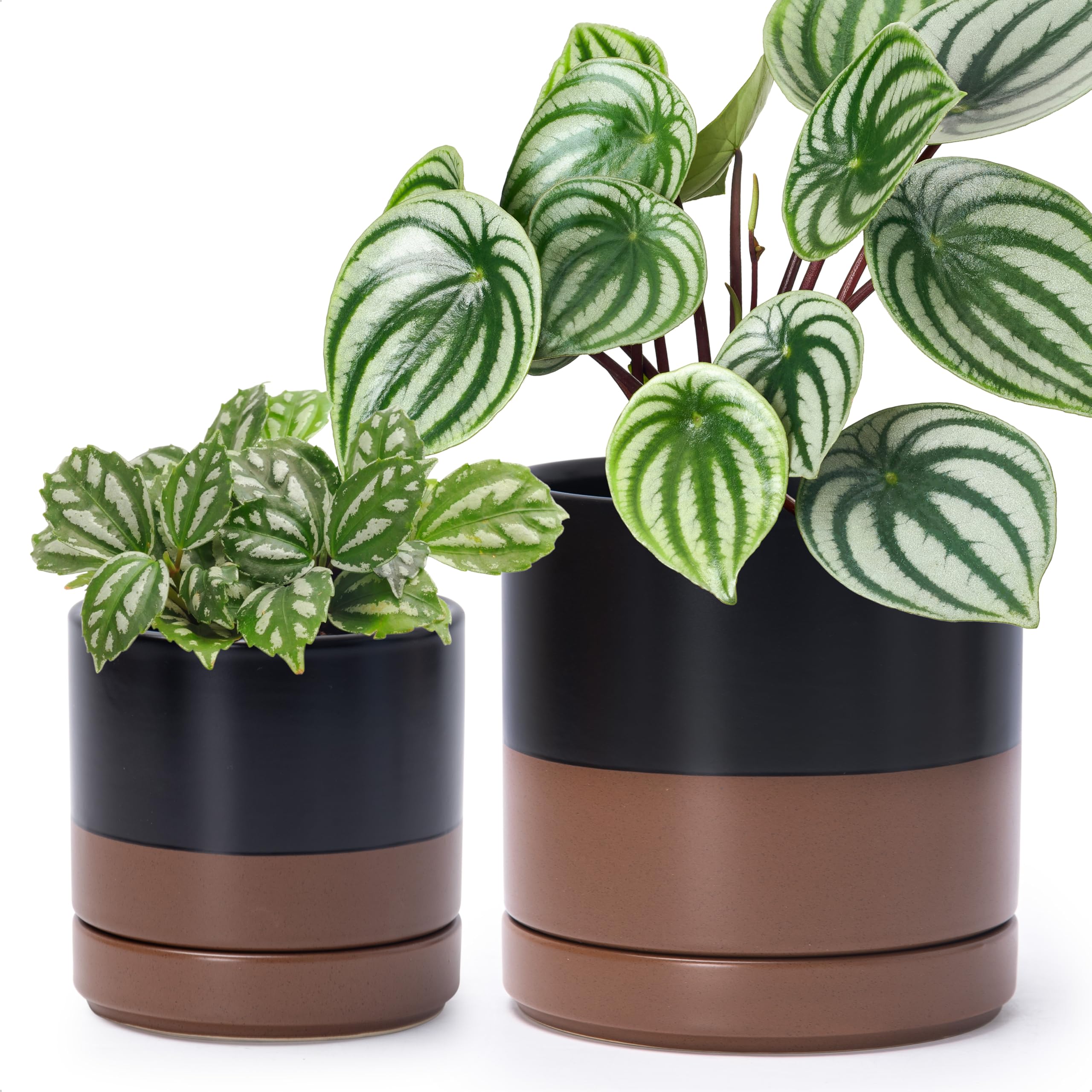 D'vine Dev 4.6 Inch & 6 Inch Ceramic Planter Pots for Plants with Drainage Hole and Saucer, Small Plant Pots Set, Black/Speckled Tan, 94-G-S-7