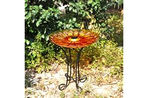 Hi-Line Gift 78415-A Solar Floral Glass Bird Bath with Stand