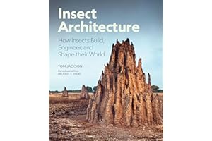 Insect Architecture: How Insects Build, Engineer, and Shape Their World