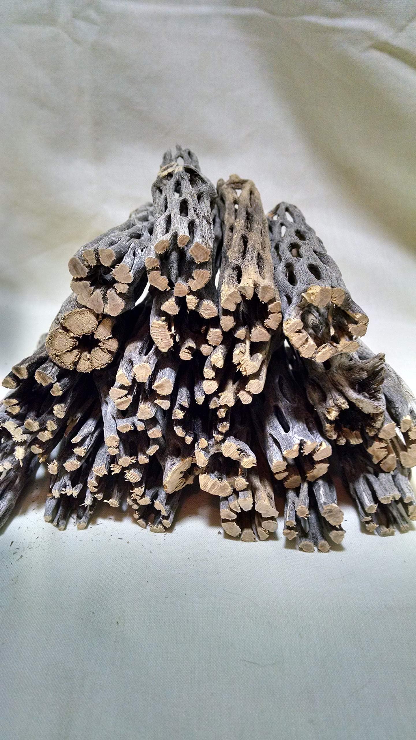 rowdyboy2us 25 pc. Cholla Wood