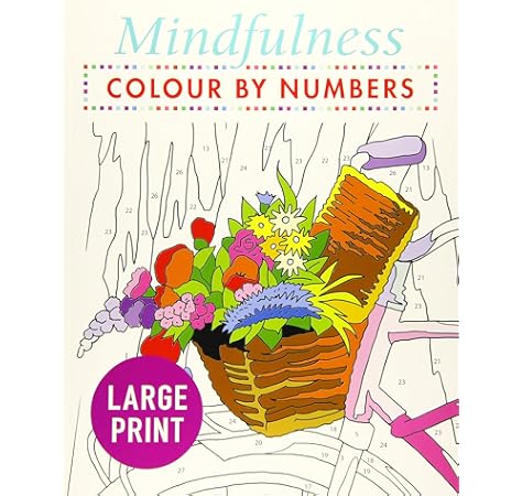 Mindfulness Colour By Numbers Large Print Arcturus Publishing Amazon Com Au Books