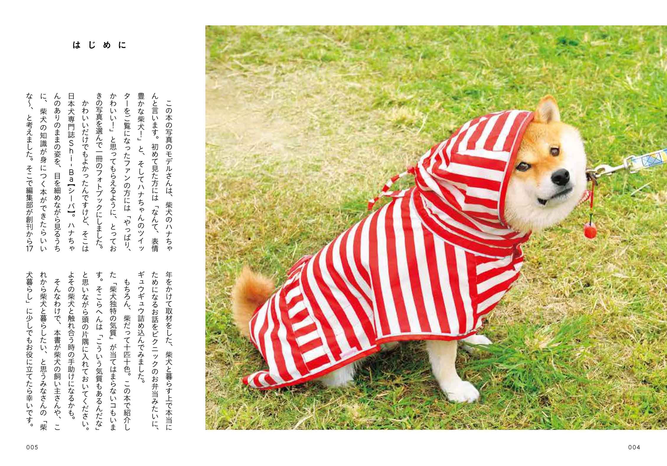 犬なんで 柴犬ハナちゃんがつぶやく 人が学ぶべき現代犬の心理 Amazon Es Libros