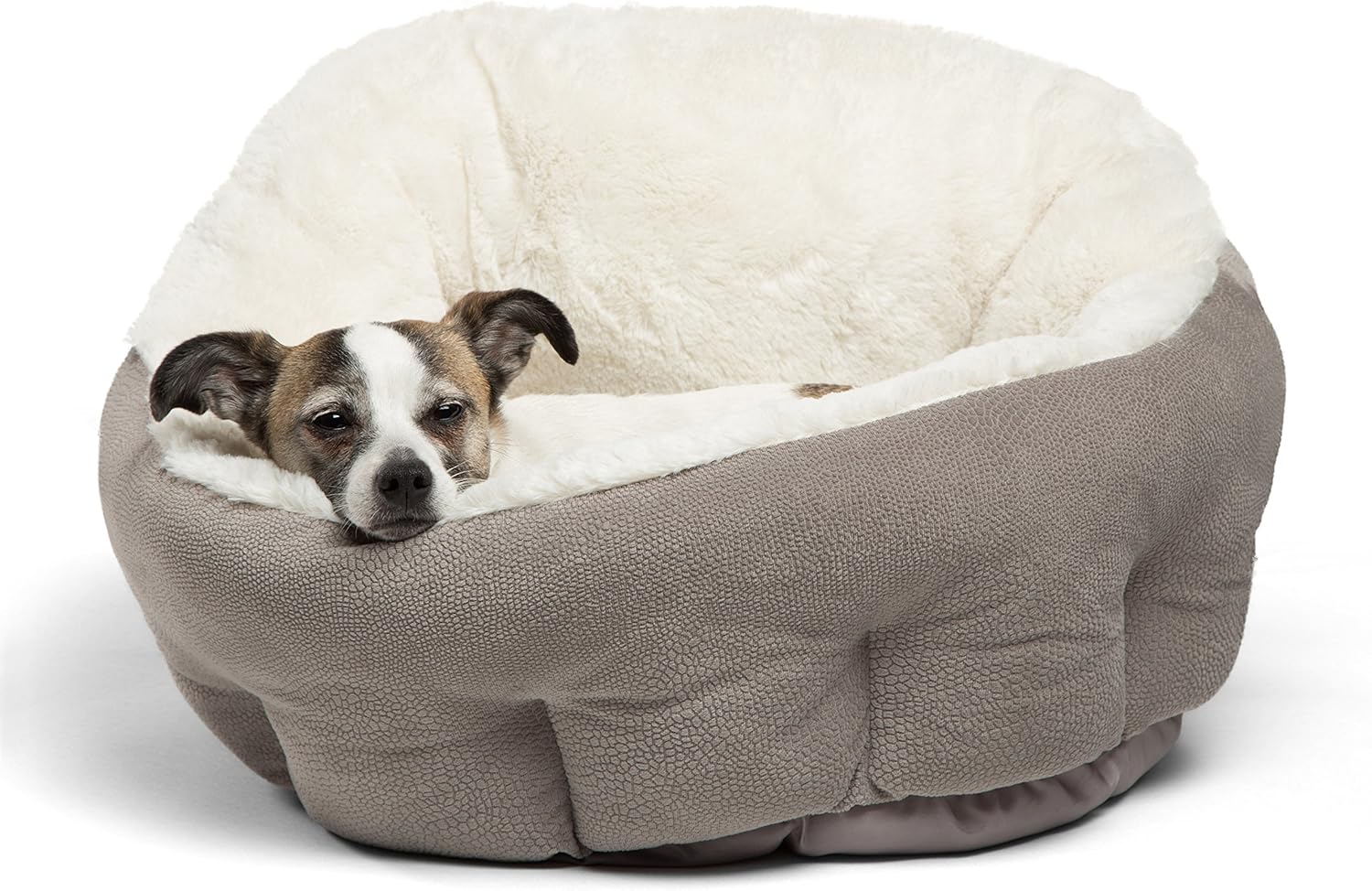 Best What Is A Good Vacuum For Pet Hair