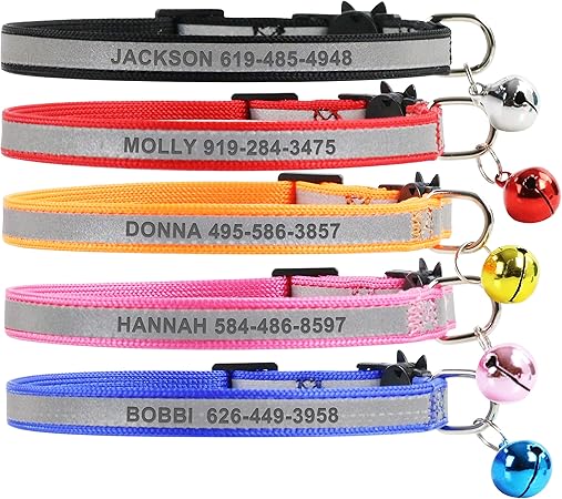 personalized breakaway cat collars