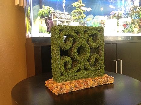 Amazon Com Petco Square Hedge Aquarium Ornament Aquarium Decor
